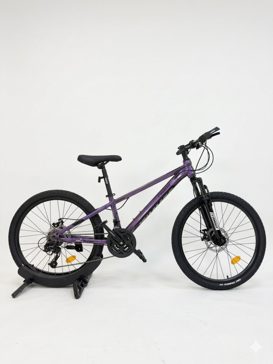 20 Inch Mountain Bike With Disc Brakes