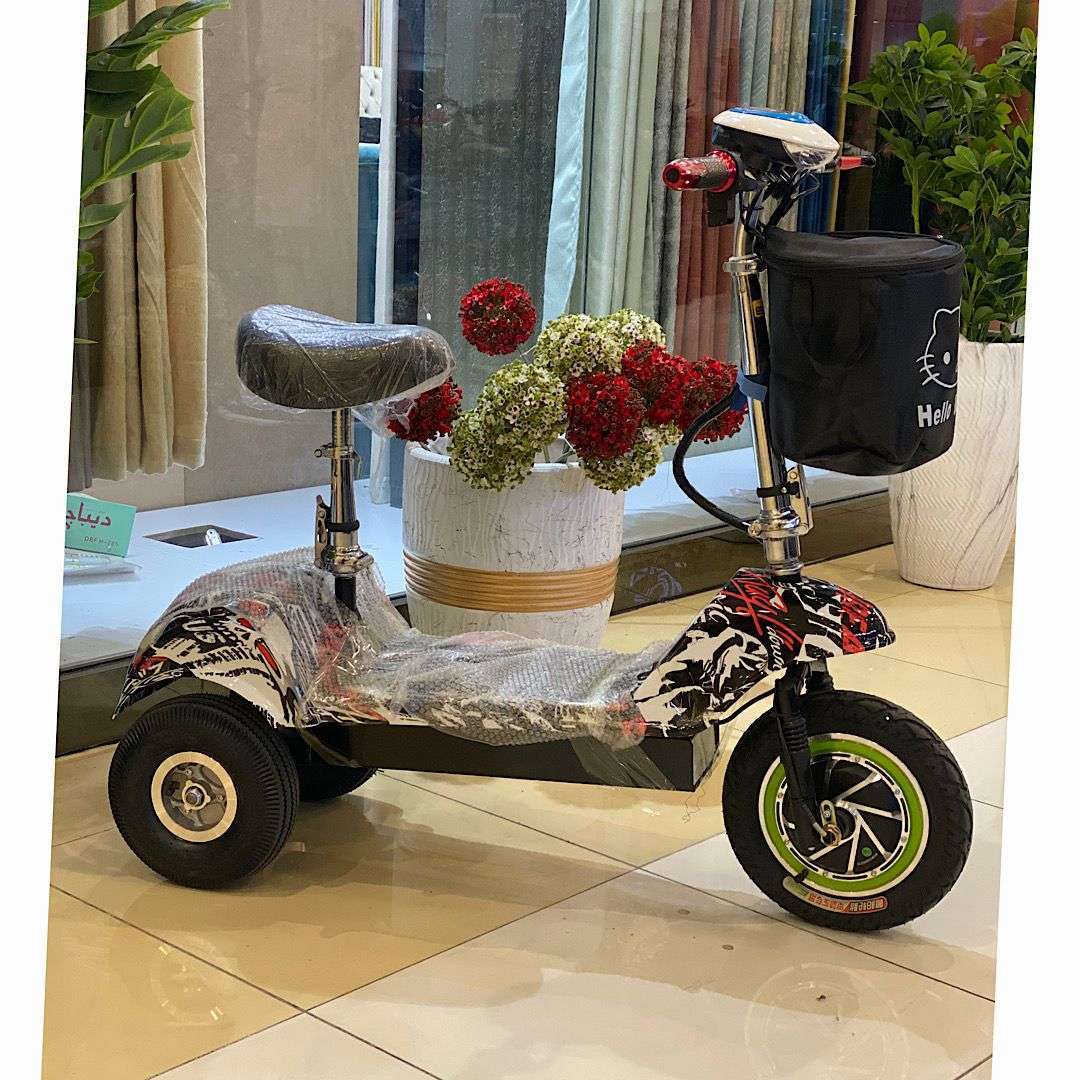 1017 Three Wheel Electric Bike | Best price | WBBicycles