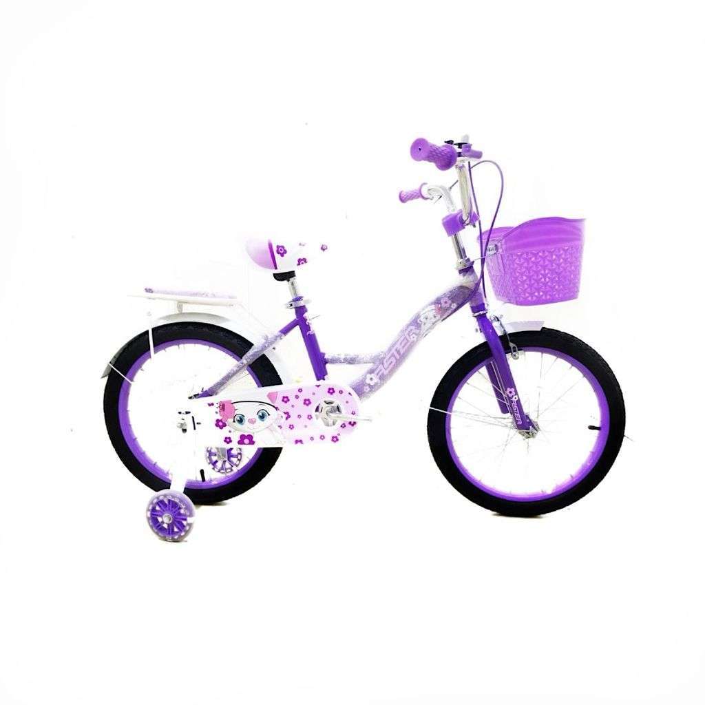 Aster Baby Girl Bike 18" - Purple