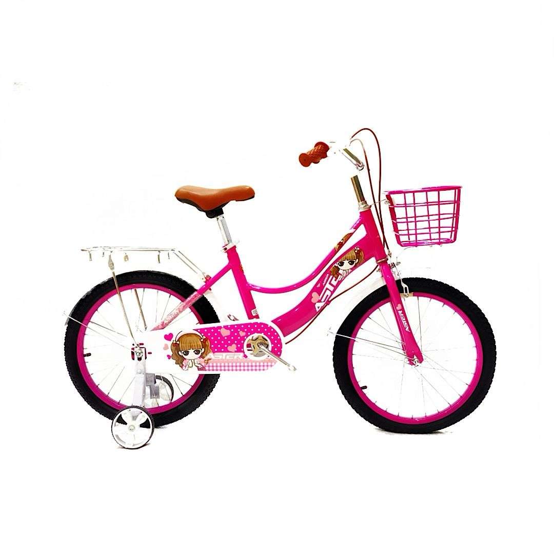 Aster Baby Girl Bike 18" - Pink