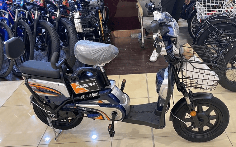 Aster EBike 16 Size / 48v12Ah