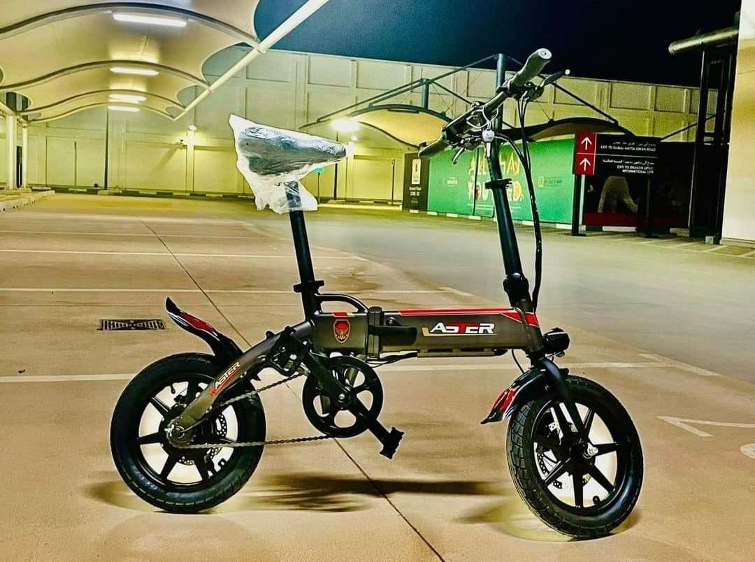 Aster Mini Electric Bike 14"