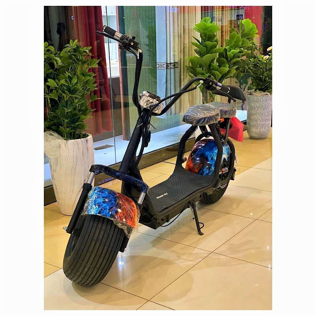 Big Harley 1500watts Electric Bike