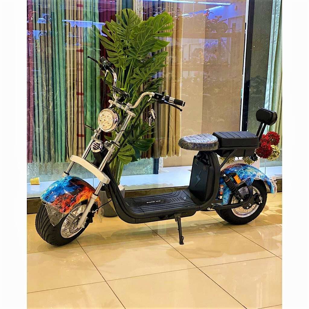 Big Harley Electric Bike