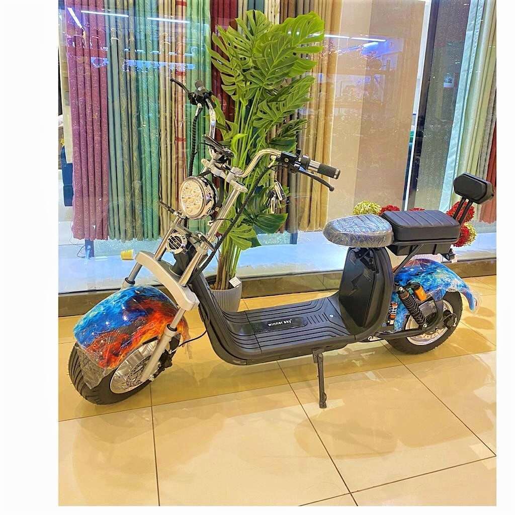 Big Harley Electric Bike