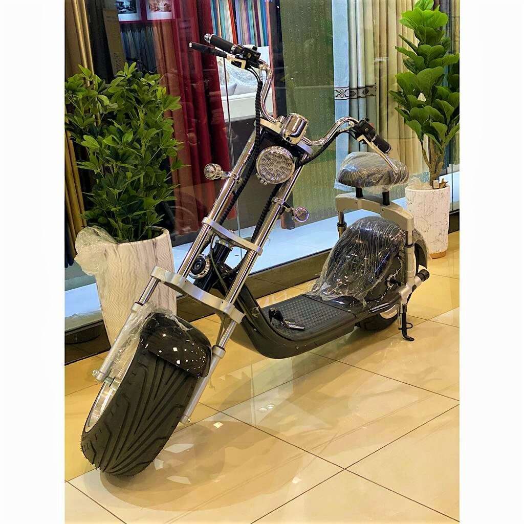 Big Harley Max Speed 60-70km/h Electric Bike