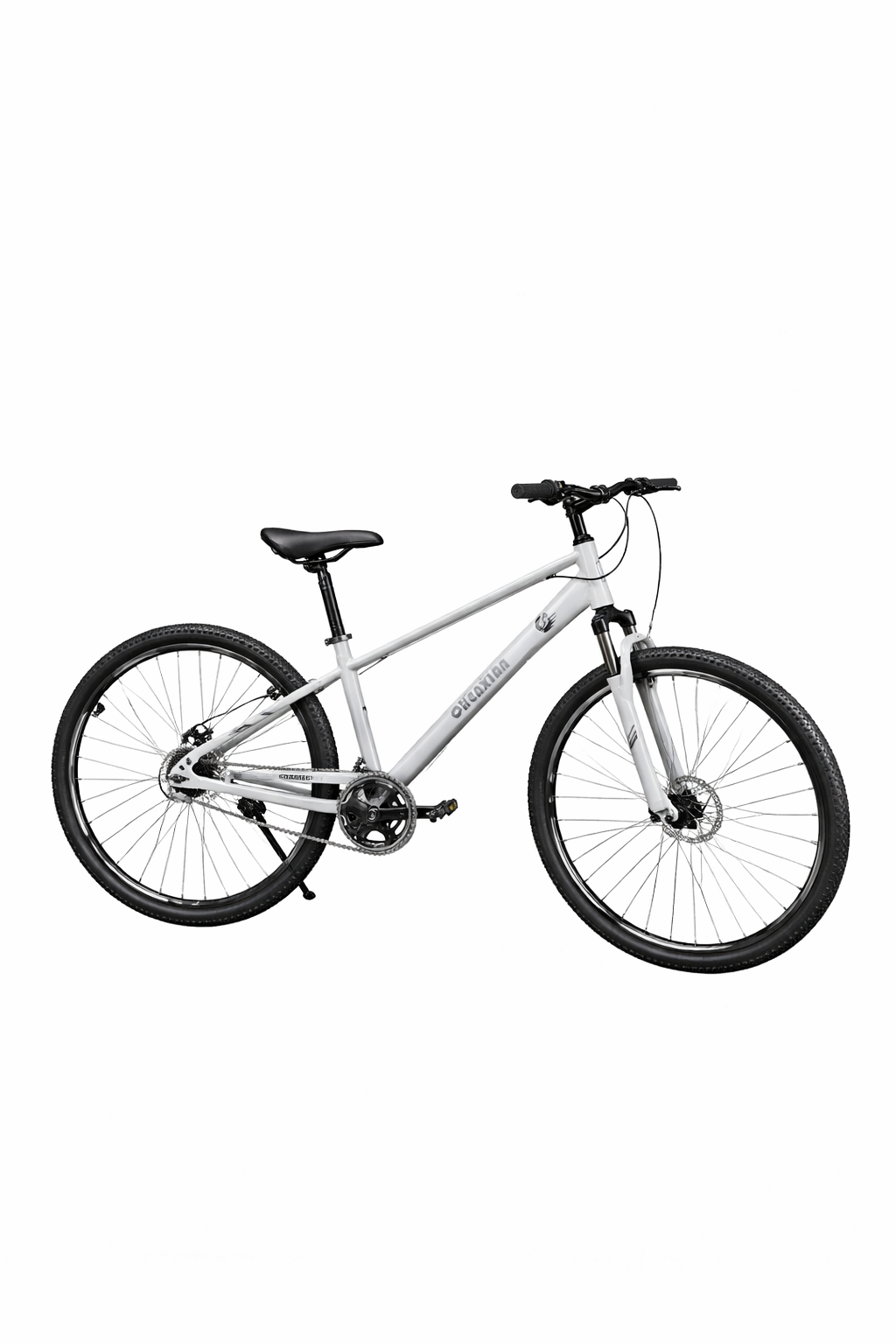 Chenxian 26 Inch Single Speed Mountain Bike