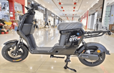ED01 800W Rohan Wings Electric Bike