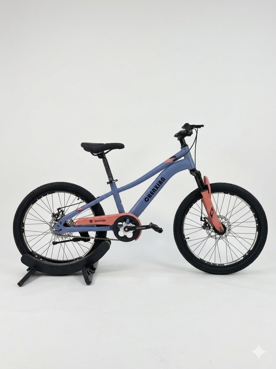 22 Inch CHENXIAN Mountain Bike with Disc Brakes