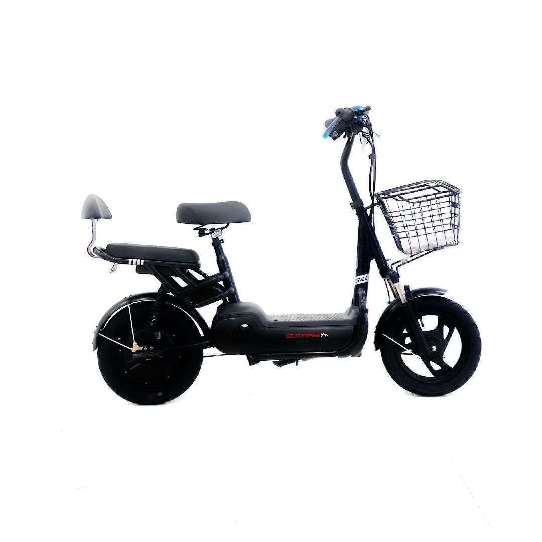 Geun Horse Electric Bike | Affordable Price | WBBicycles
