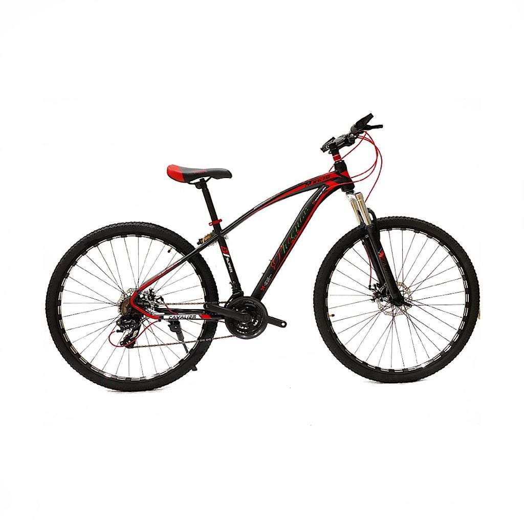 ASTER Phoenix Mountain Bike 29”