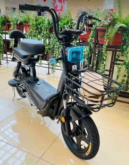 KLL4 Foldable Rohan Wings Electric Bike
