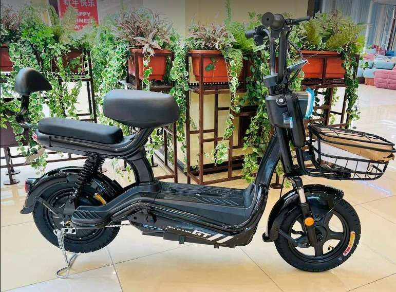 YZ14 Foldable Rohan Wings Electric Bike