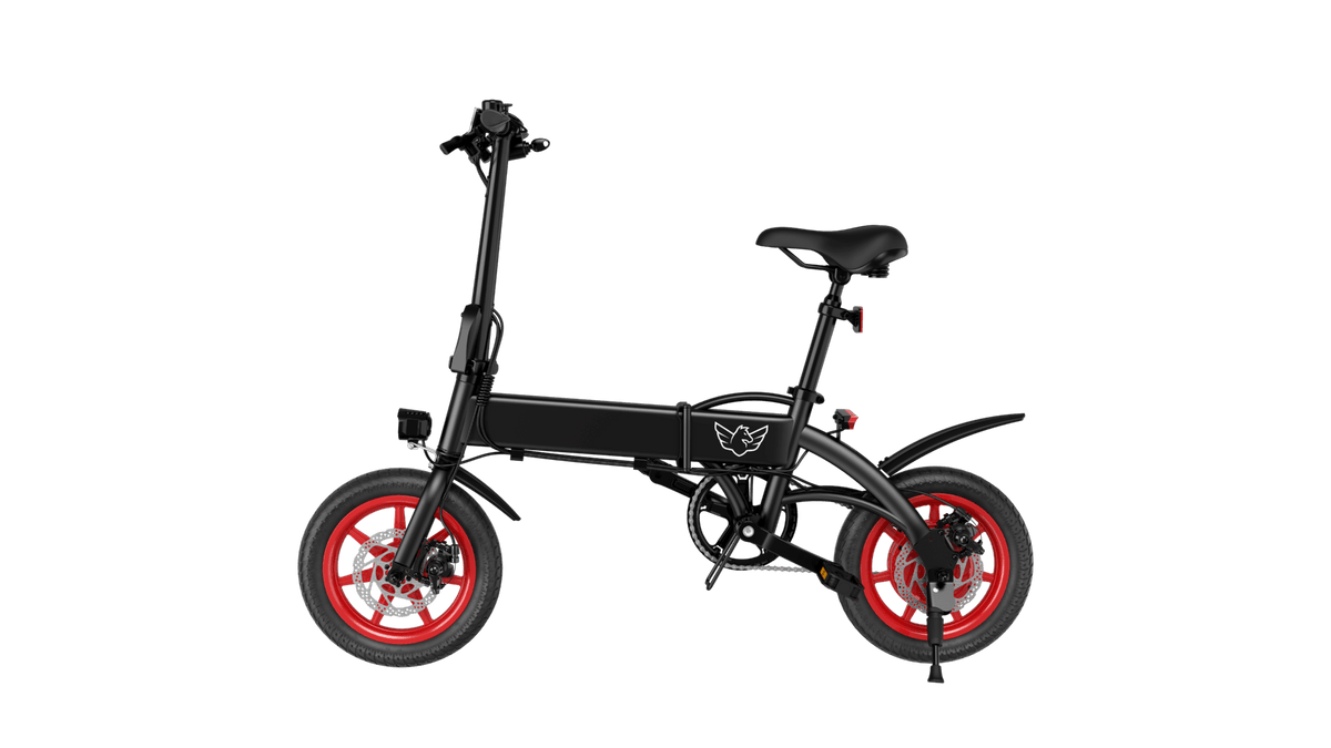 WIND HORSE C19 Folding Electric Bike