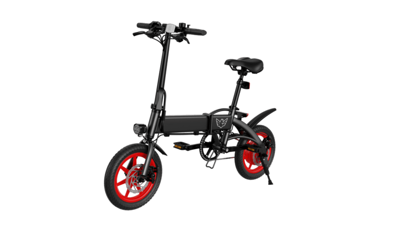 WIND HORSE C19 Folding Electric Bike