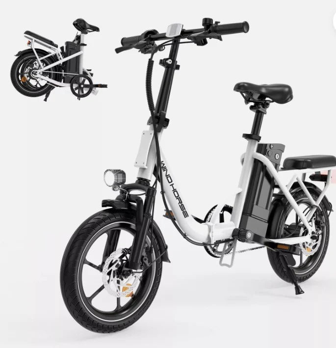 WINDHORSE W2B Electric Bike