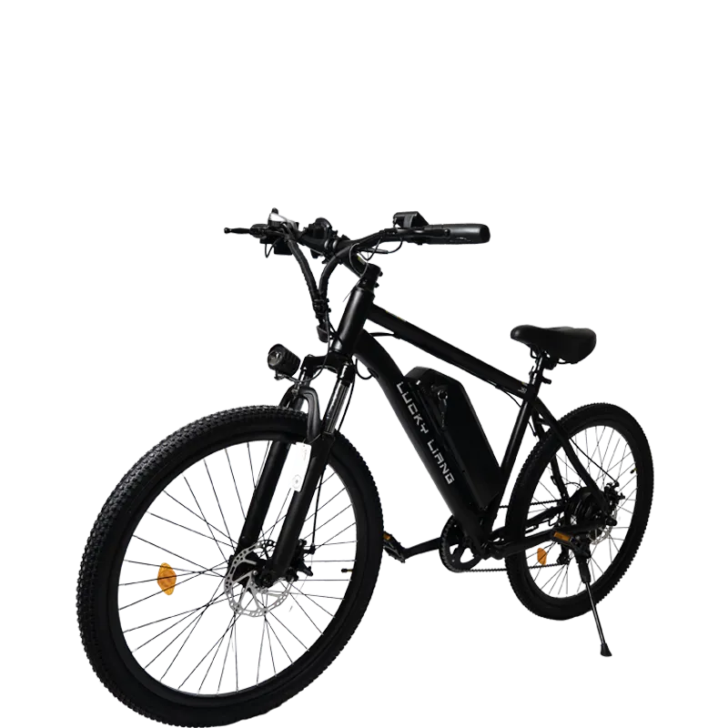Lucky Liang DS01 Electric Bike