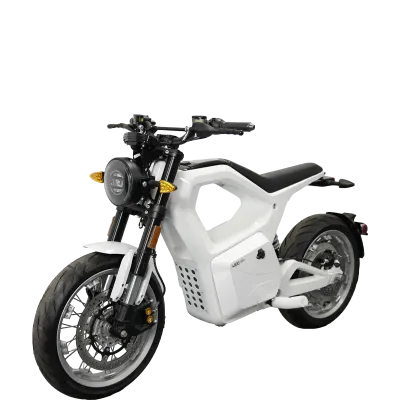 ST Motorcycle (Electric Cruiser)