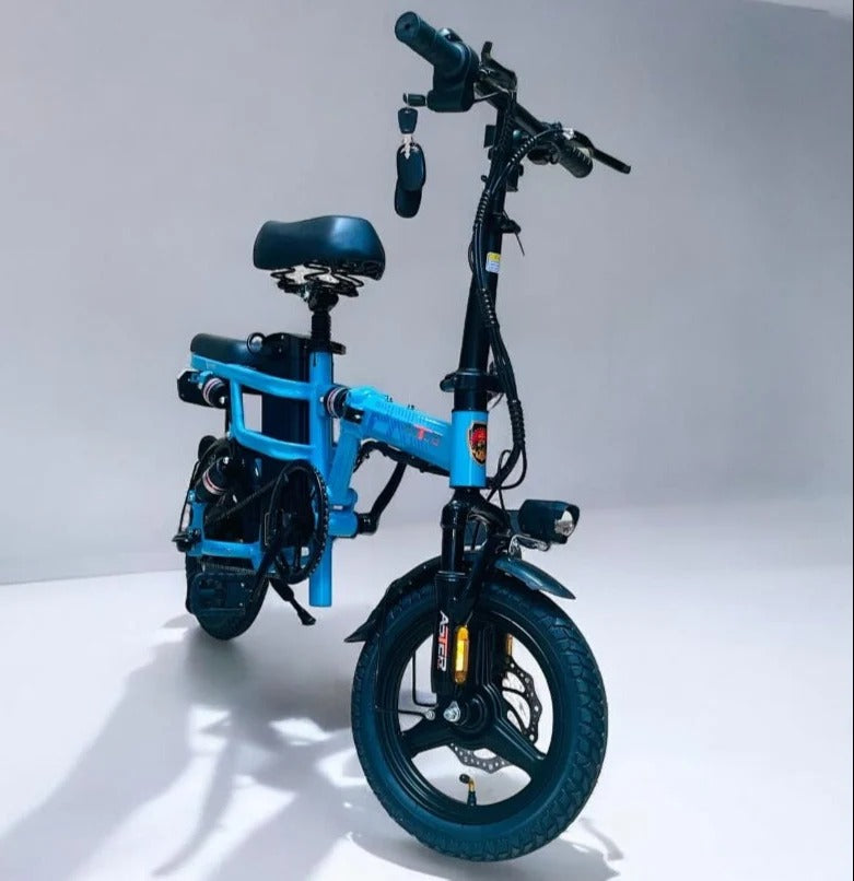 ASTER ELECTRIC BICYCLE SF-15