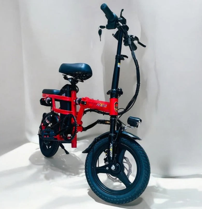 ASTER ELECTRIC BICYCLE SF-15