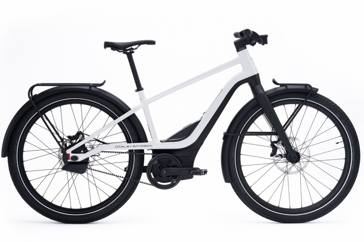 HD-01 Electric Bicycle