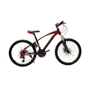 Aster Phoenix Mountain Bike