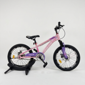 20 Inch PIGEON Mountain Bike With Disc Brakes