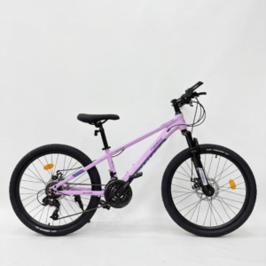 24 Inch TIMMSE Mountain Bike With Disc Brakes