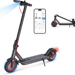 Windhorse T1 Electric Scooter 36V 8Ah 350W