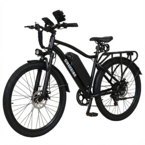 CHENXIAN HX100 Electric Bicycle