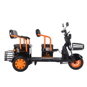 Kugoo T2 Electric Bicycle