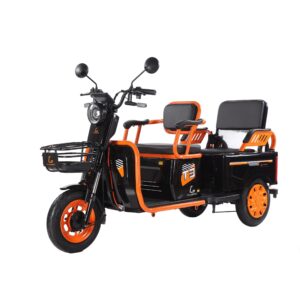 Kugoo T3 Electric Scooter